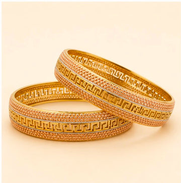 Beautiful 22k Gold Women Bangle Set